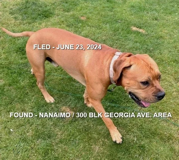 HAPPY ENDINGS - NANAIMO BC. / JESSE / JUNE 23, 2024