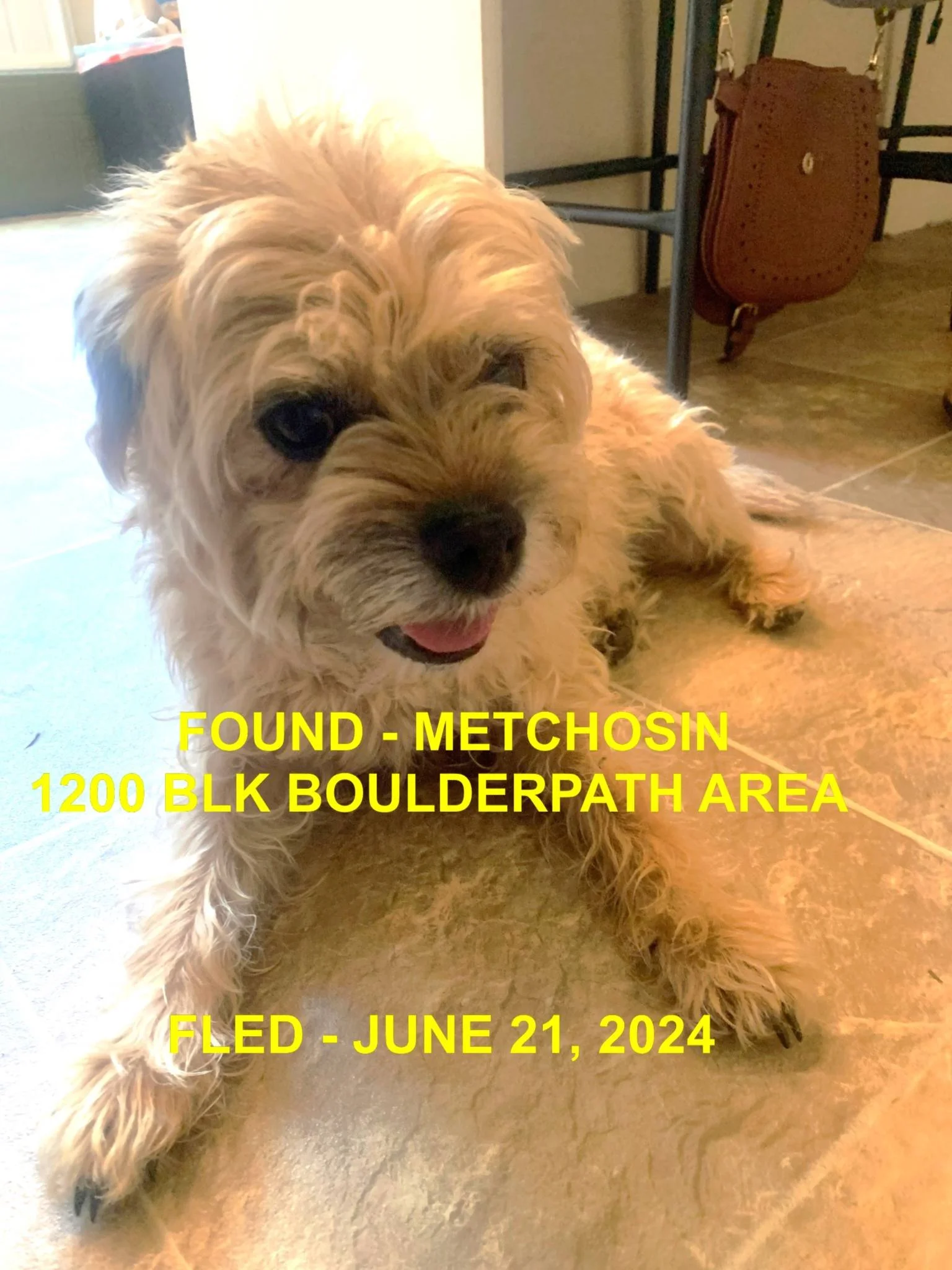 HAPPY ENDINGS - METCHOSIN BC. / JUNE 21, 2024