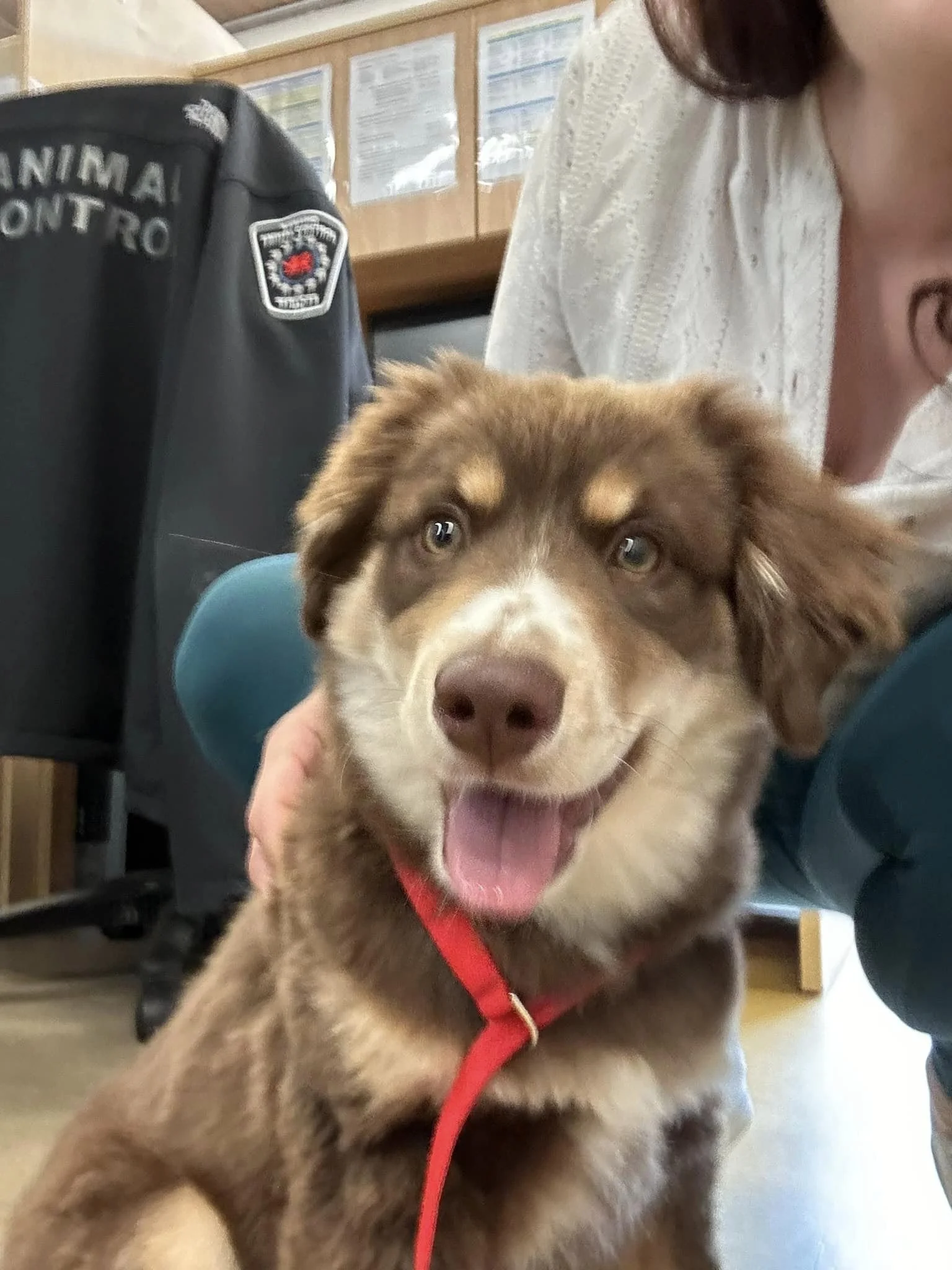 GONE TO SHELTER / HAPPY ENDINGS - NANAIMO BC. / JUNE 21, 2024