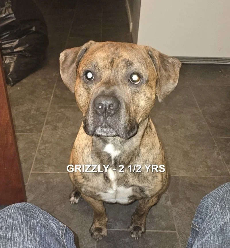 HAPPY ENDINGS - NANAIMO BC. / GRIZZLY / JUNE 20, 2024