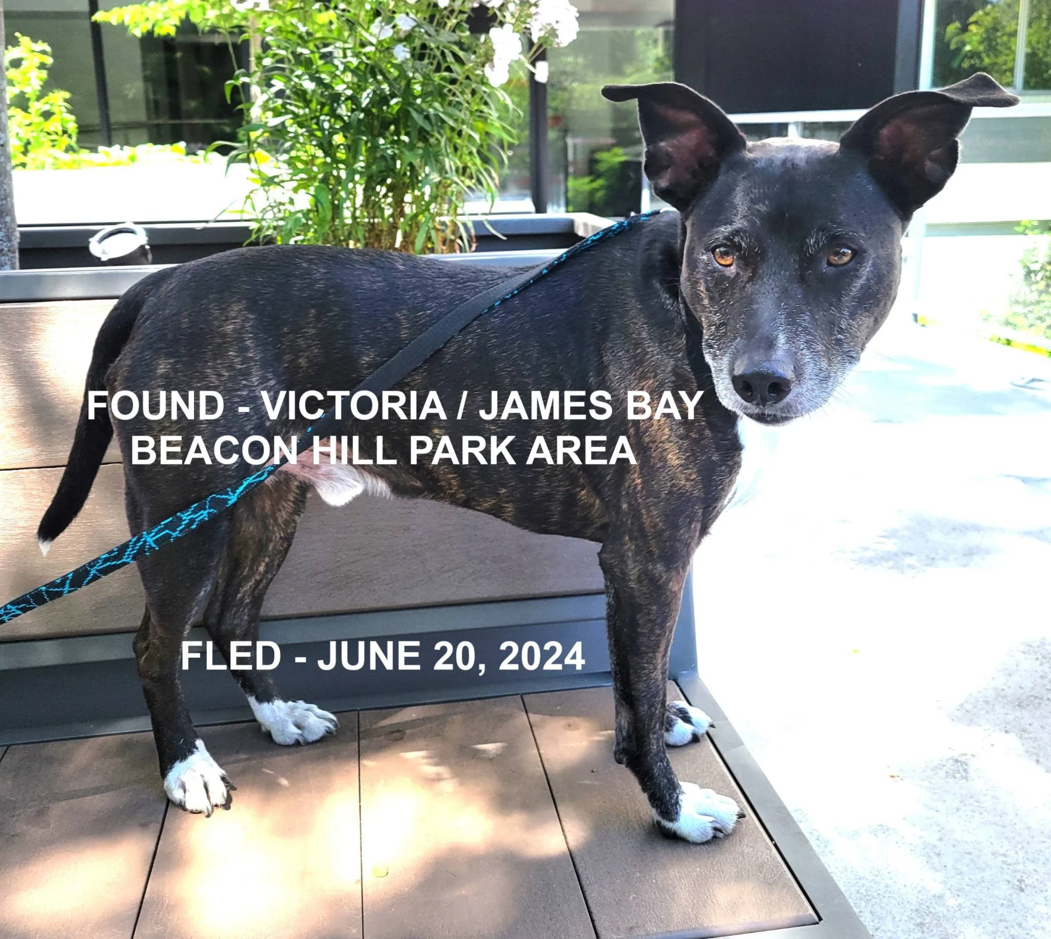 HAPPY ENDINGS - VICTORIA BC. / JUNE 20, 2024