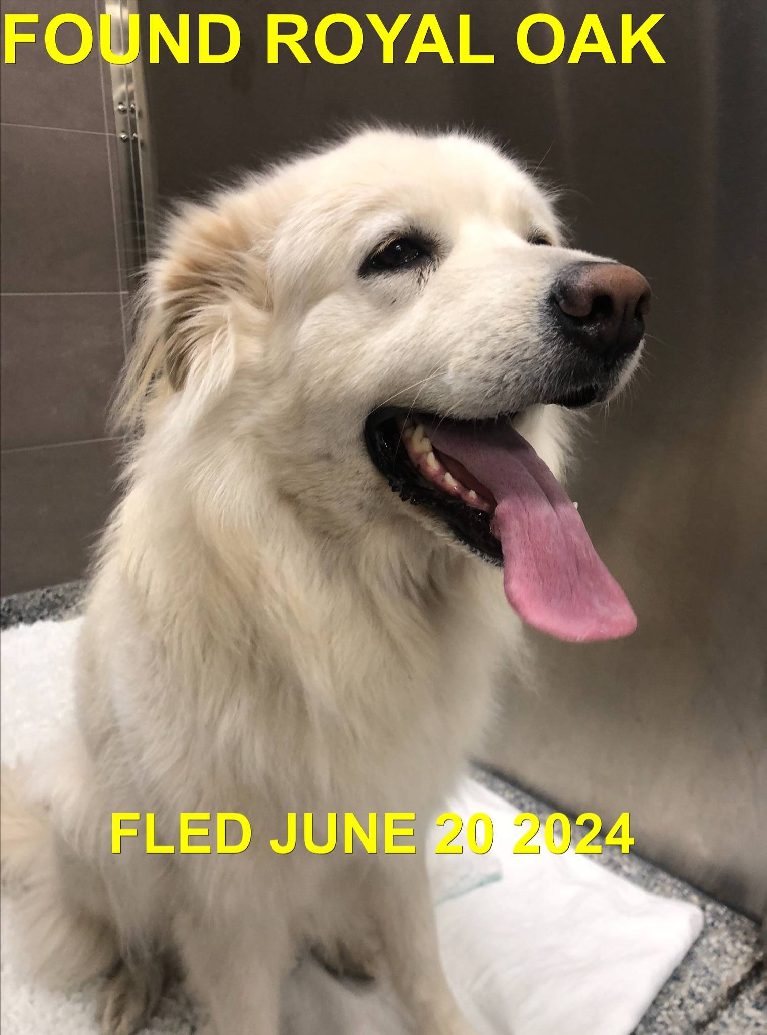 HAPPY ENDINGS - SAANICH BC. / JUNE 19, 2024