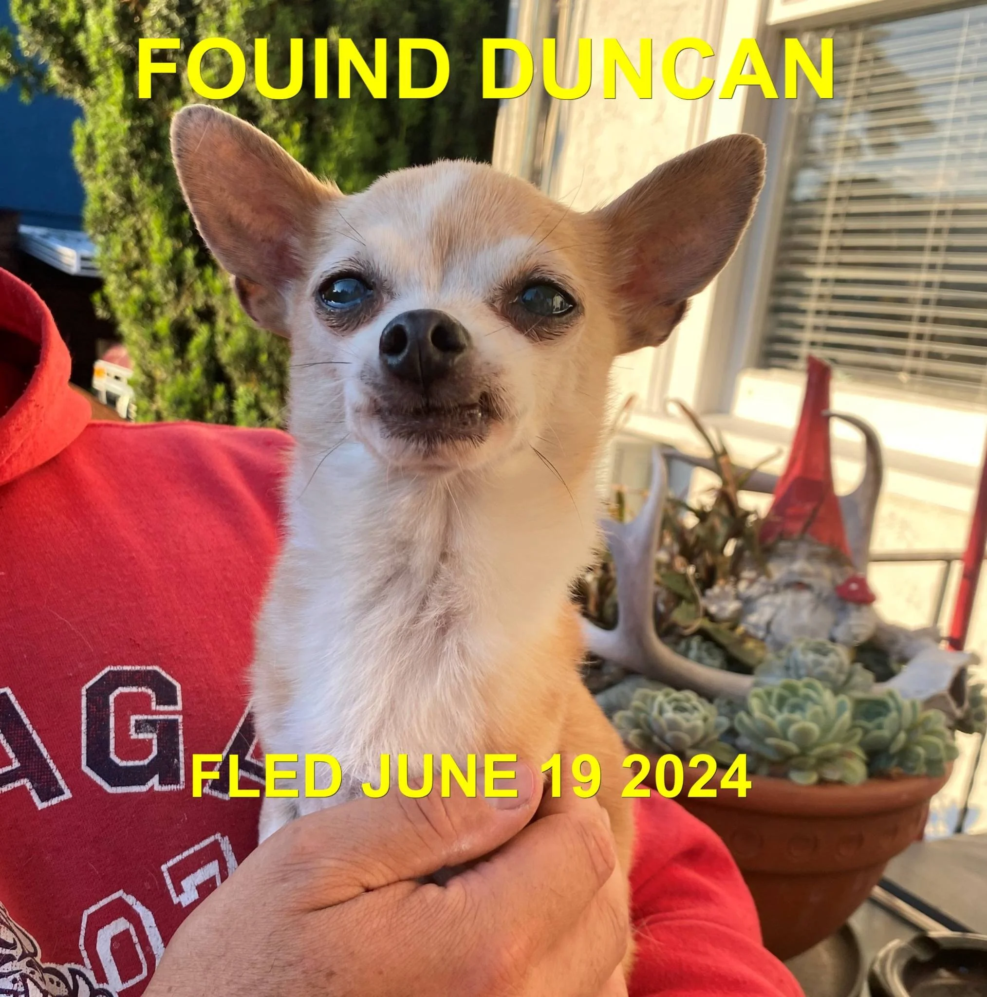 HAPPY ENDINGS - DUNCAN BC. / JUNE 19, 2024