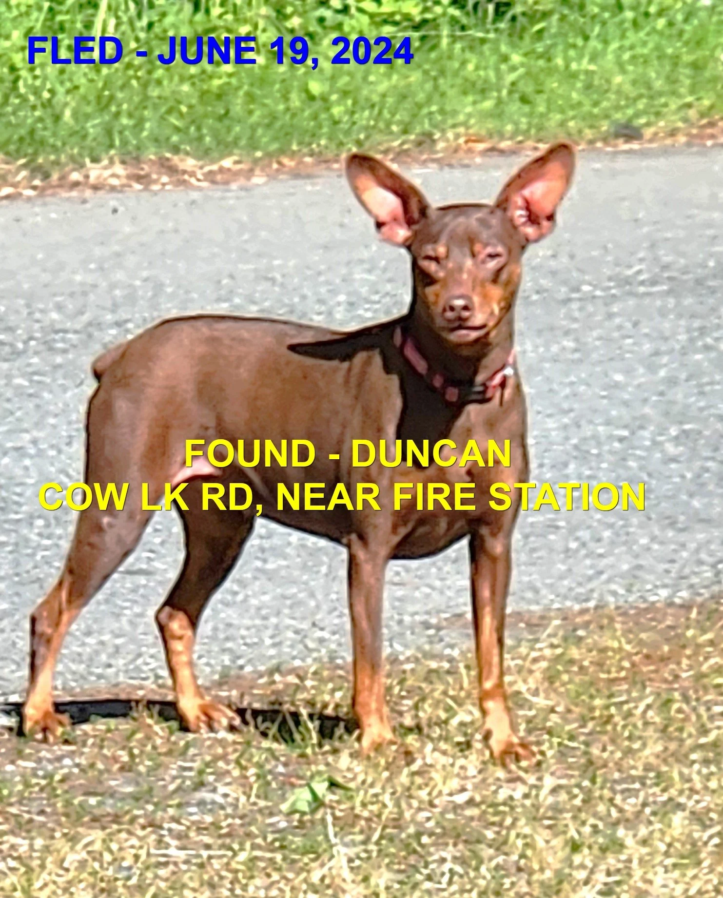 HAPPY ENDINGS - DUNCAN BC. / JUNE 19, 2024