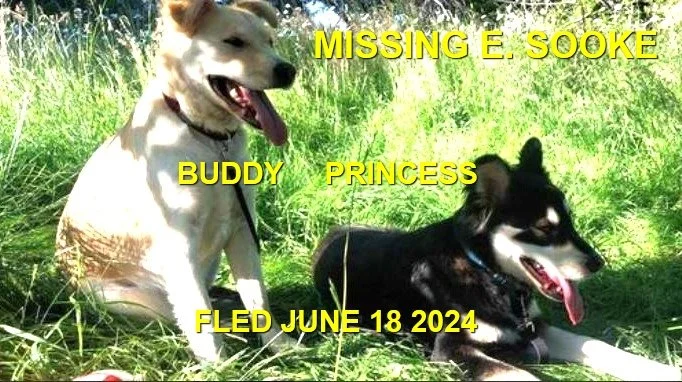 HAPPY ENDINGS - EAST SOOKE BC. / BUDDY &amp; PRINCESS / JUNE 18, 2024