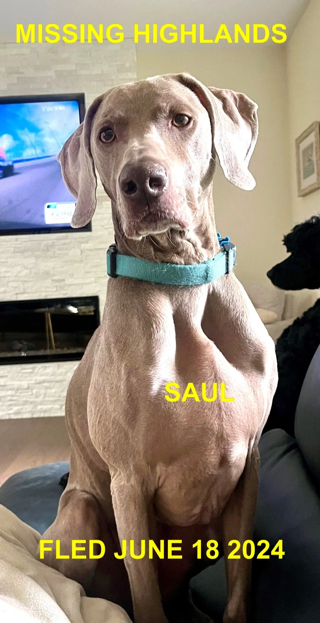 HAPPY ENDINGS - HIGHLANDS BC. / SAUL / JUNE 18, 2024