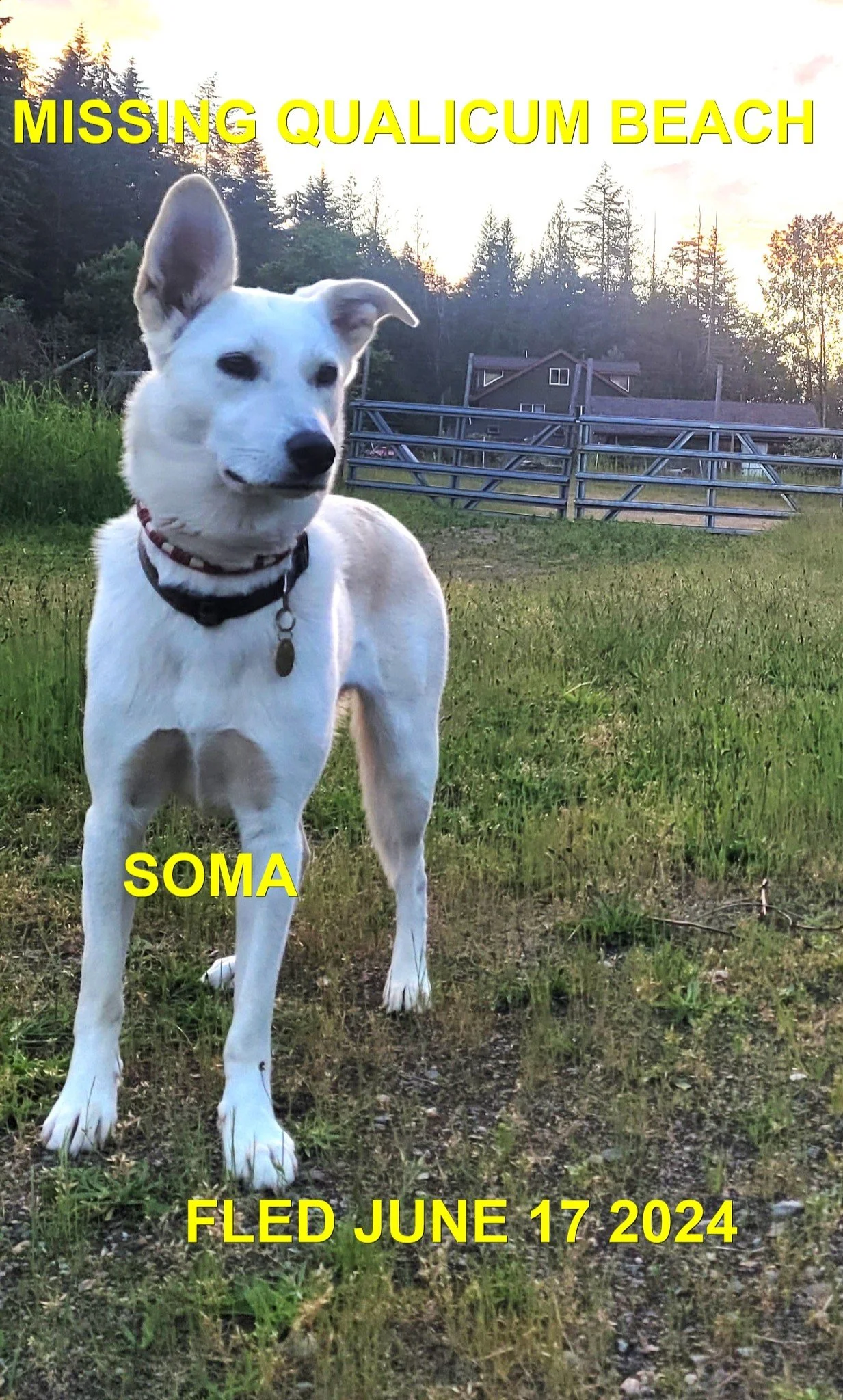 HAPPY ENDINGS - QUALICUM BEACH BC. / SOMA (HBC) / JUNE 17, 2024