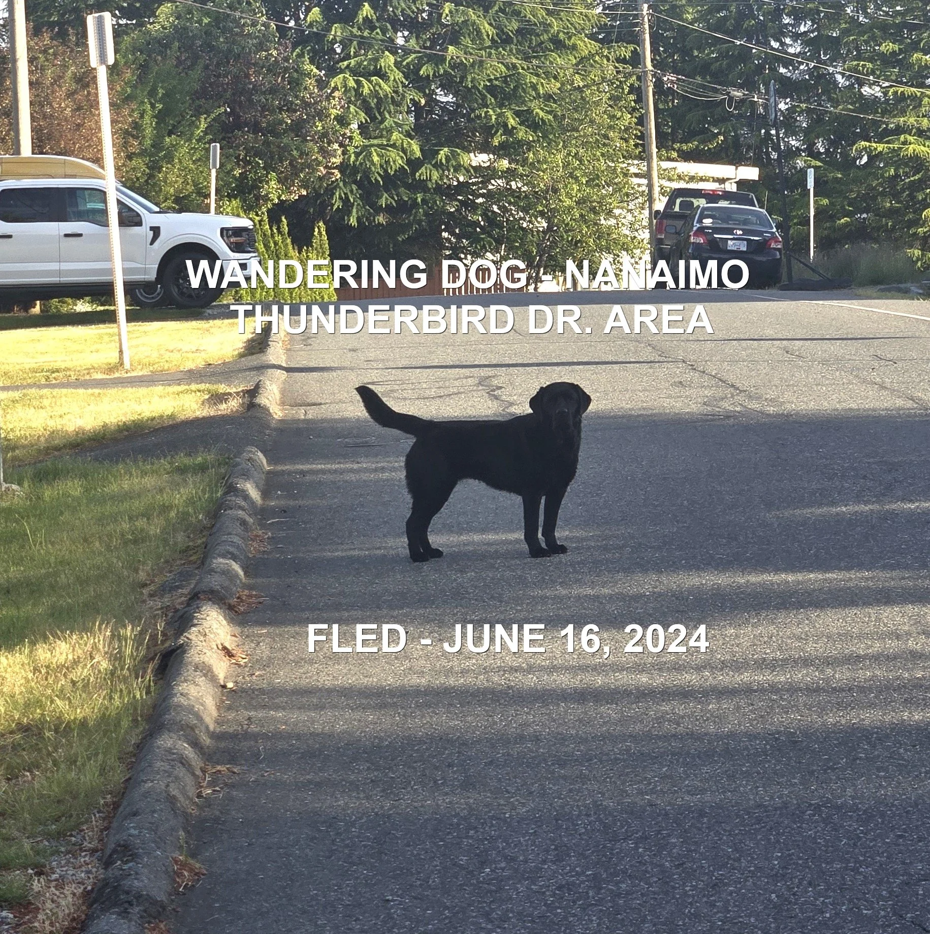 HAPPY ENDINGS - NANAIMO BC. / JUNE 16, 2024