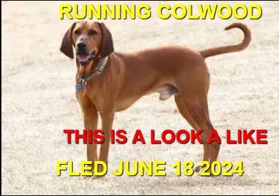 UNRESOLVED - COLWOOD BC. / JUNE 18, 2024