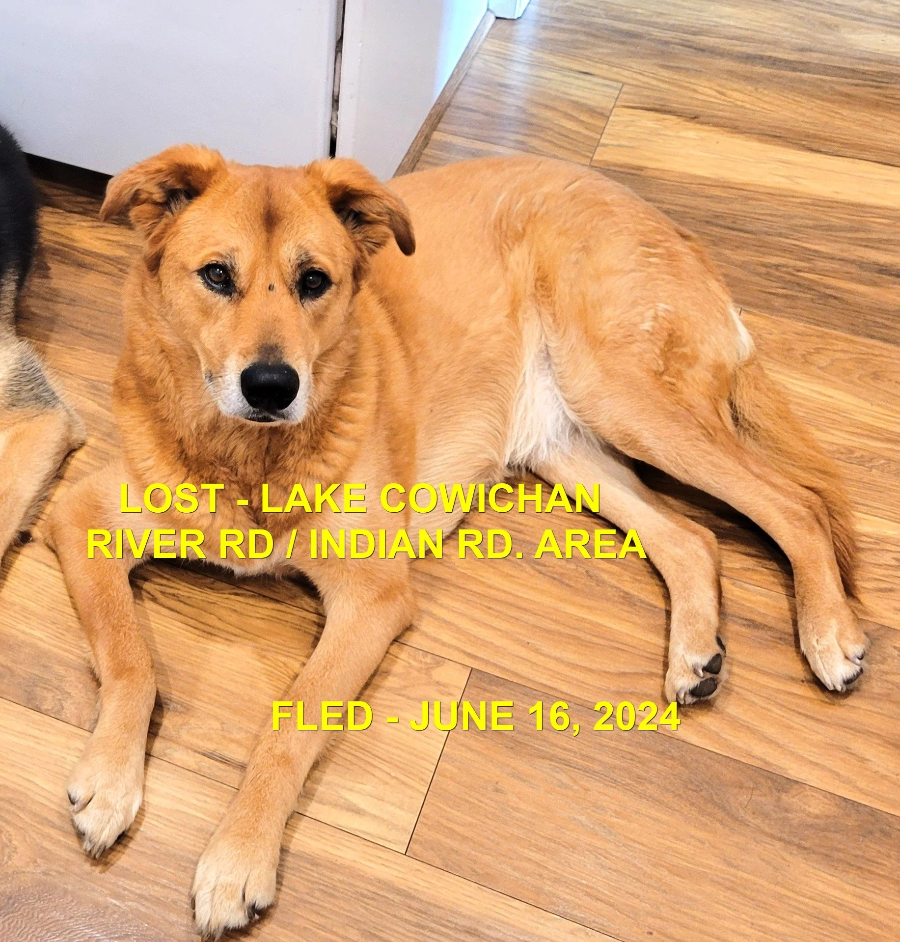 HAPPY ENDINGS - LAKE COWICHAN BC. / KERA / JUNE 16, 2024