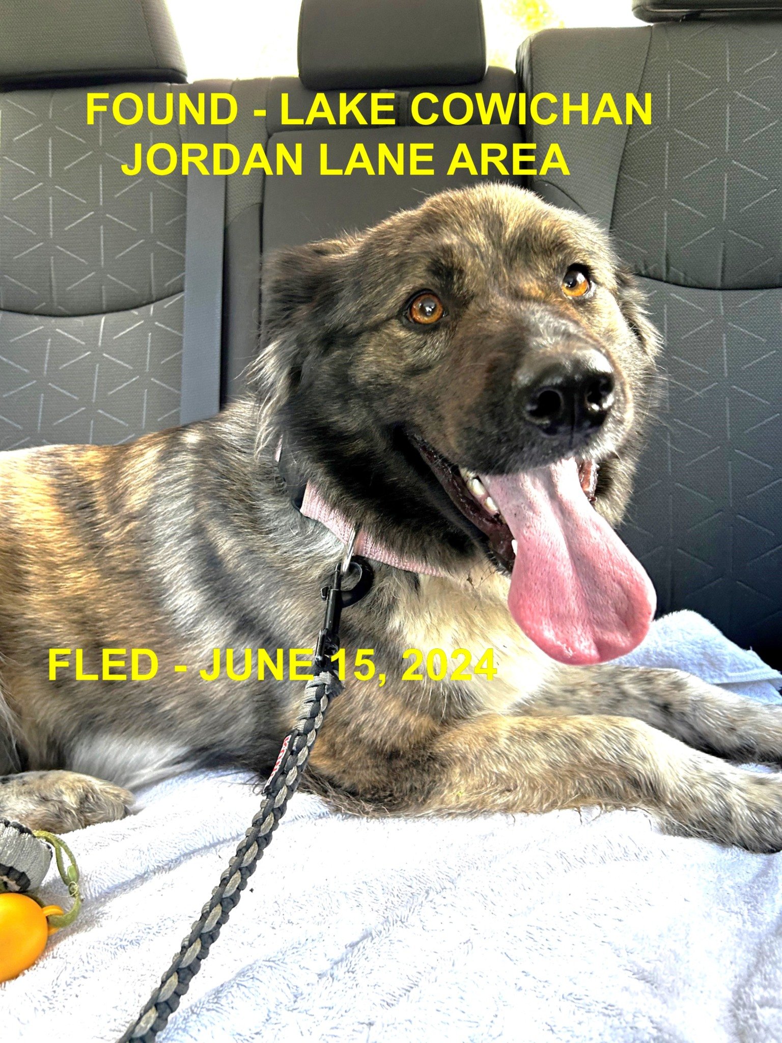 HAPPY ENDINGS - LAKE COWICHAN BC. / BROXY / JUNE 15, 2024