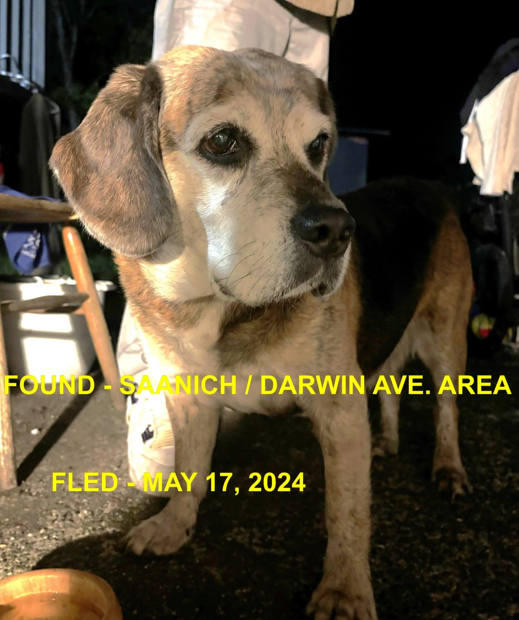 HAPPY ENDINGS - SAANICH BC. / MAY 17, 2024