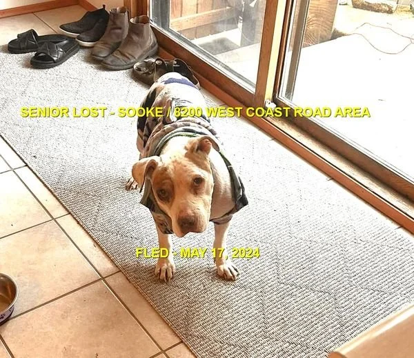 HAPPY ENDINGS - SOOKE BC. / KATIE / MAY 17, 2024