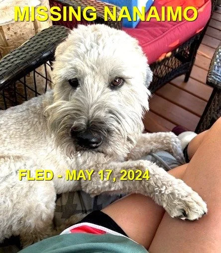 HAPPY ENDINGS - NANAIMO BC. / MARSHELL / MAY 17, 2024