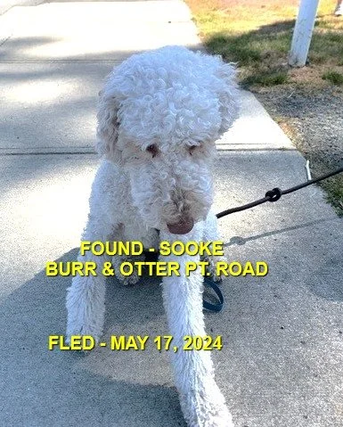 HAPPY ENDINGS - SOOKE BC. / MAY 17, 2024