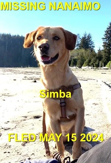 HAPPY ENDINGS - NANAIMO BC. / SIMBA / MAY 15, 2024