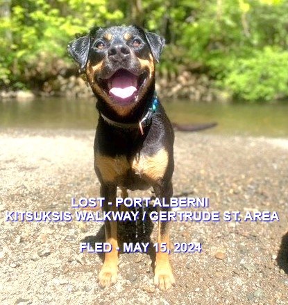 HAPPY ENDINGS - PORT ALBERNI BC. / MAY 15, 2024