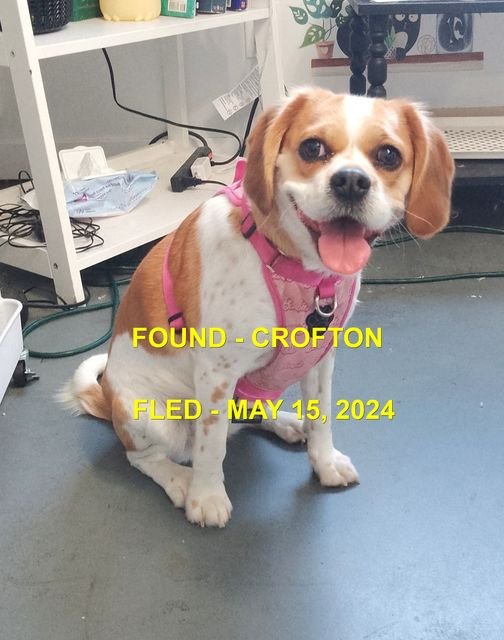 HAPPY ENDINGS - CROFTON BC. / MAY 15, 2024