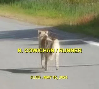 HAPPY ENDINGS - DUNCAN BC. / MAY 15, 2024