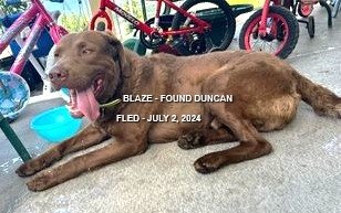 HAPPY ENDINGS / GONE TO SHELTER - DUNCAN BC. /  BLAZE / JULY 2, 2024