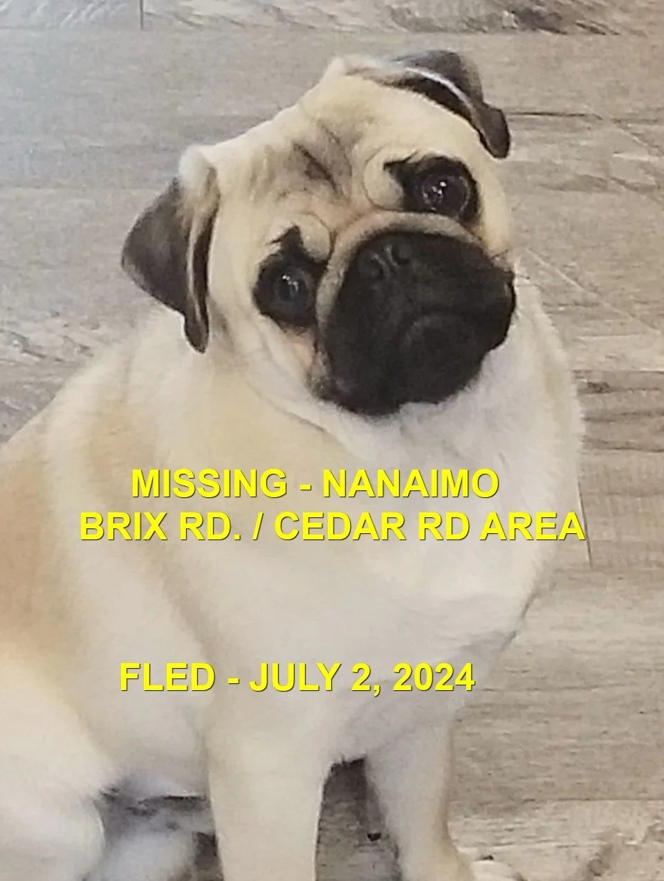 HAPPY ENDINGS - CEDAR BC / DOUGIE / JULY 2, 2024