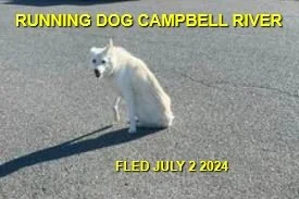 HAPPY ENDING / CAMPBELL RIVER BC. / LIVES IN AREA / JULY 2, 2024
