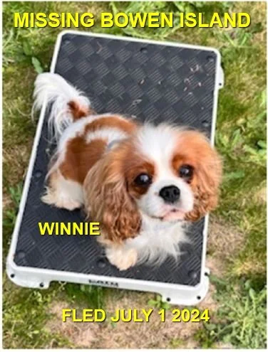 HAPPY ENDINGS - BOWEN ISLAND BC. / WINNIE / JUNE 29, 2024