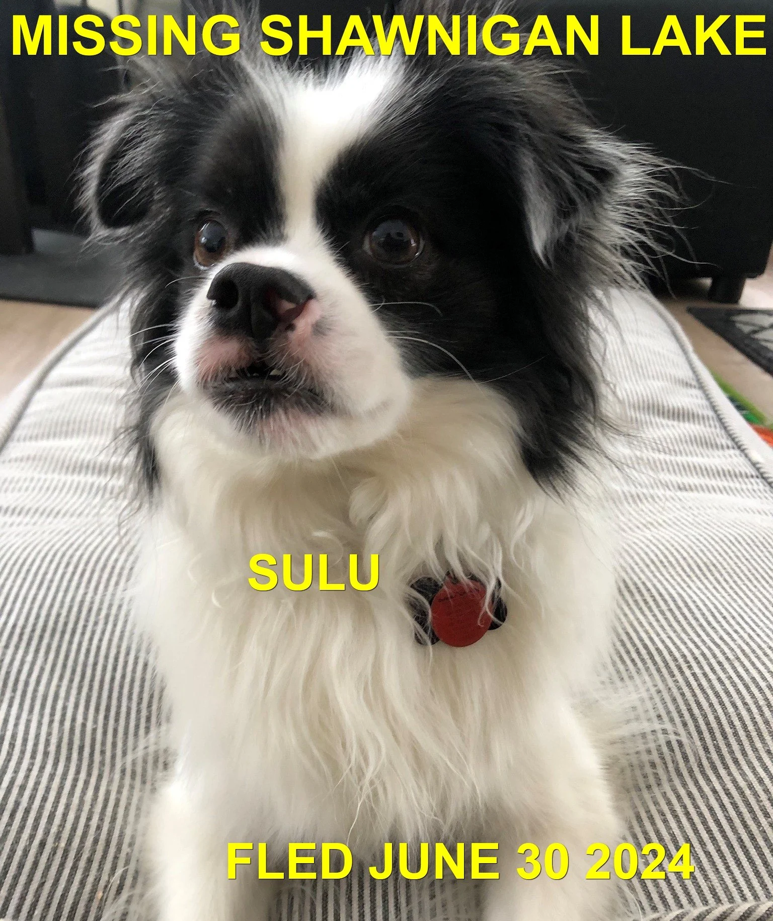 HAPPY ENDINGS - SHAWNIGAN LAKE BC. / SULU / JUNE 30, 2024