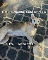 HAPPY ENDINGS - CASSIDY BC. / KLEO / JUNE 30, 2024