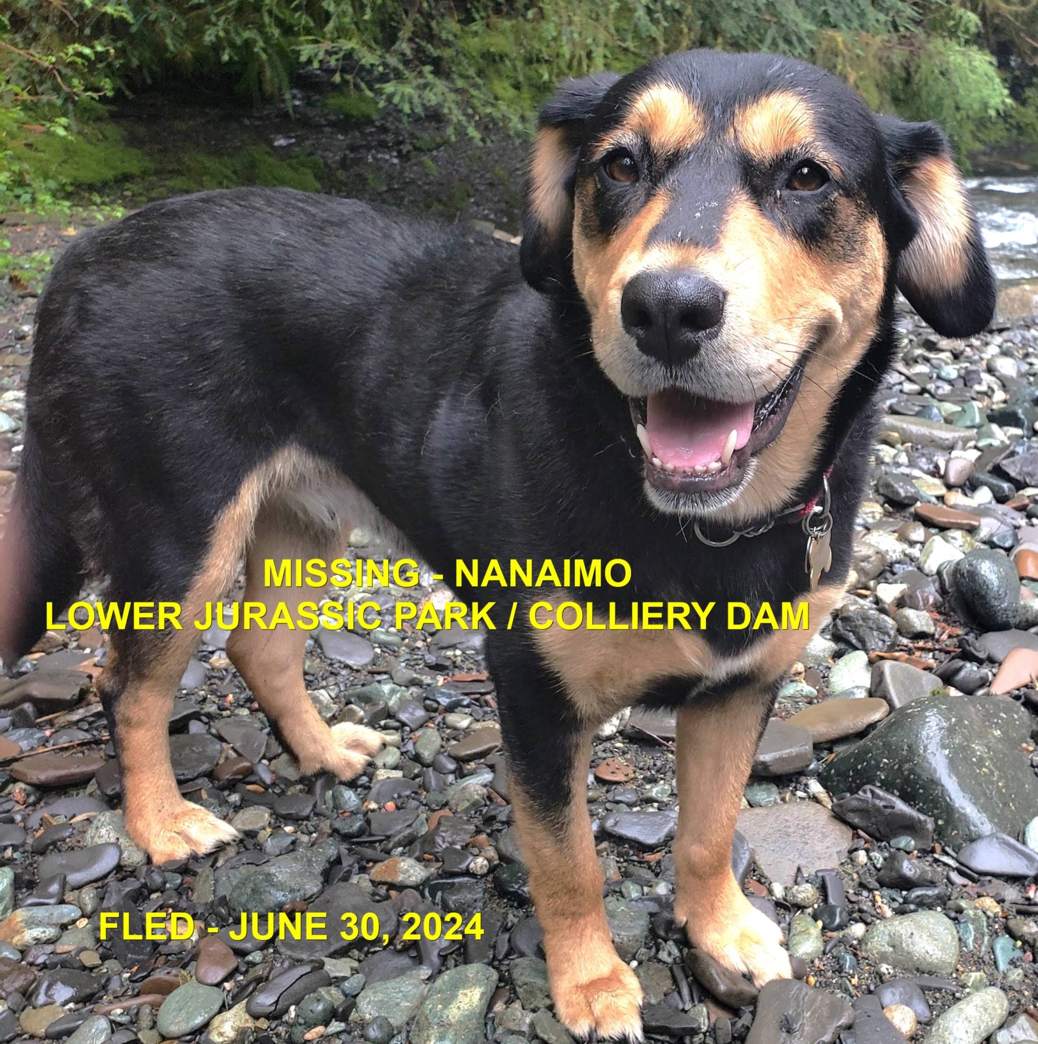 HAPPY ENDINGS - NANAIMO BC. / TRIXIE / JUNE 30, 2024