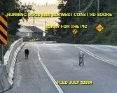 HAPPY ENDINGS - SOOKE BC. / 