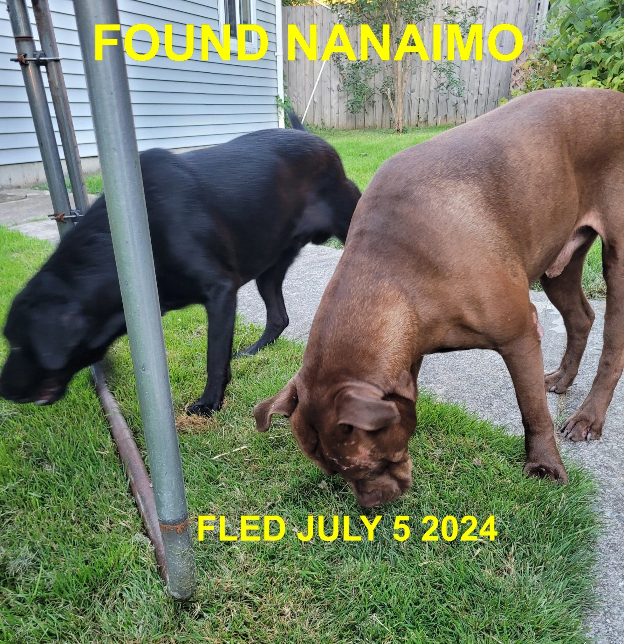 HAPPY ENDINGS - NANAIMO BC. / JULY 5, 2024