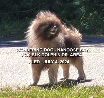 GONE TO SHELTER / HAPPY ENDINGS -NANOOSE BAY / JULY 4, 2024