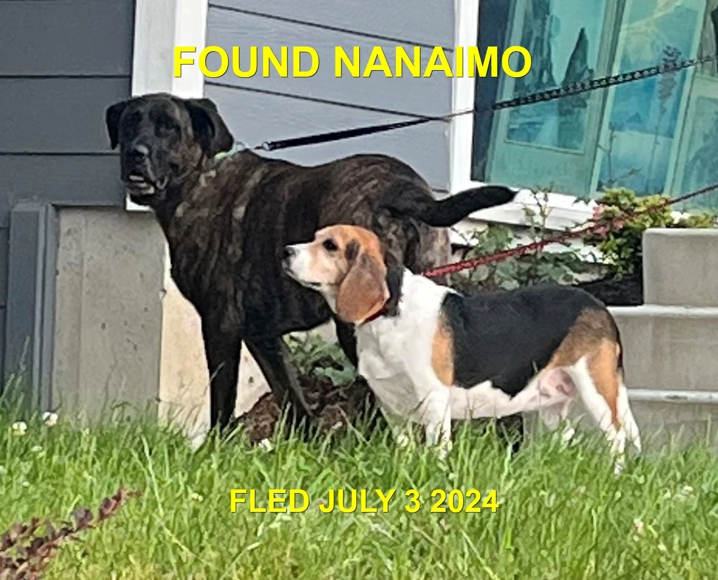 HAPPY ENDINGS - NANAIMO BC. / JULY 3, 2024