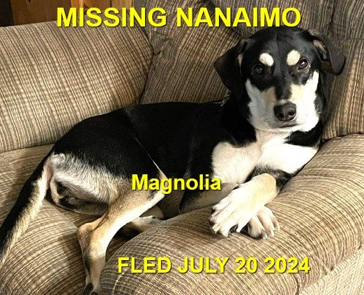 HAPPY ENDINGS - NANAIMO BC.  / MAGNOLIA / JULY 19, 2024