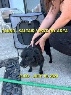 HAPPY ENDINGS - DUNCAN BC. / JULY 19, 2024