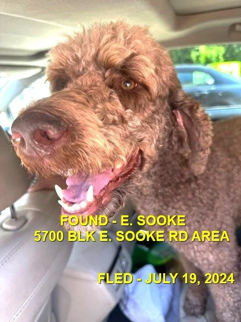 HAPPY ENDINGS - E. SOOKE BC. / JULY 19, 2024