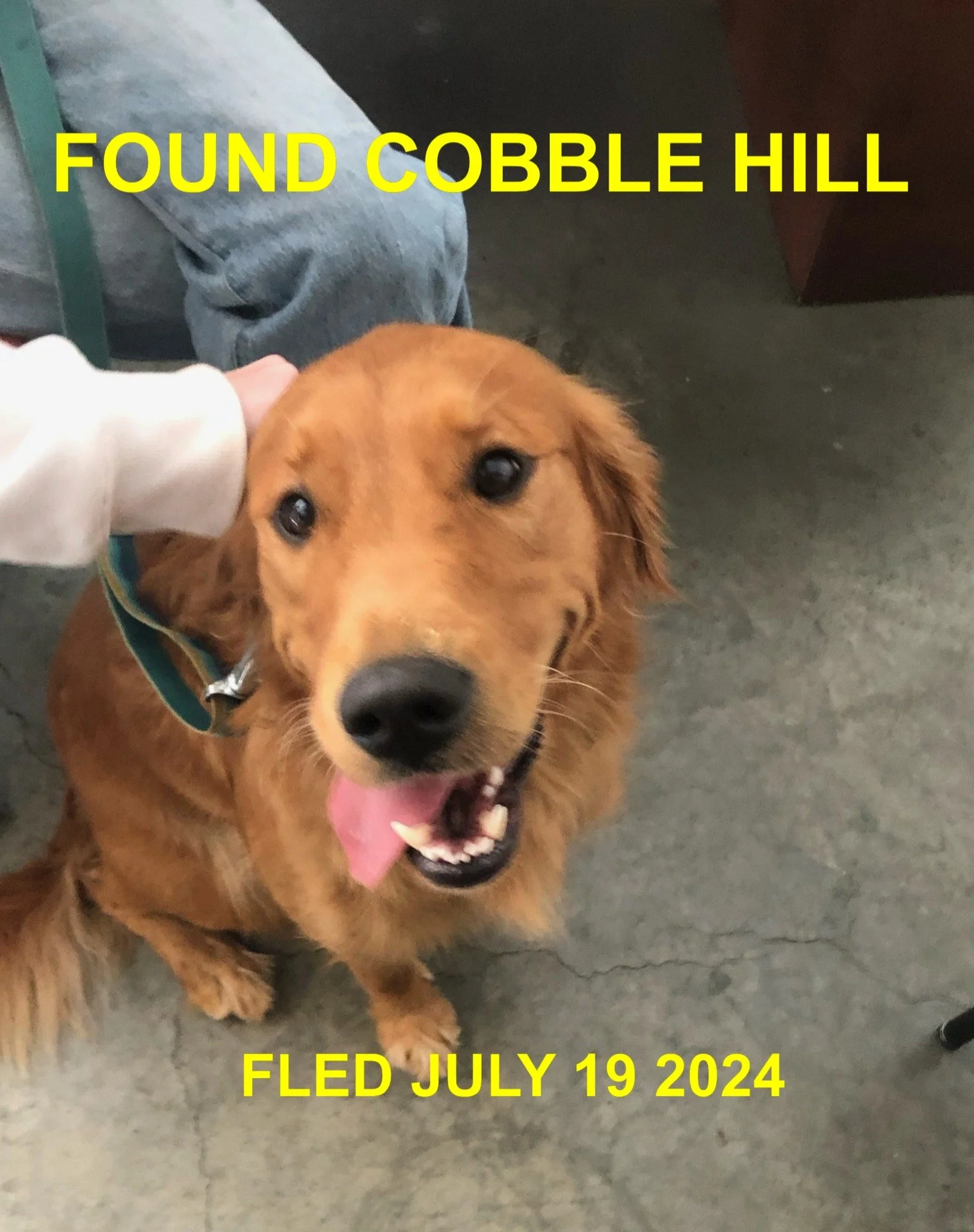 HAPPY ENDINGS - COBBLE HILL BC. / JULY 19, 2024