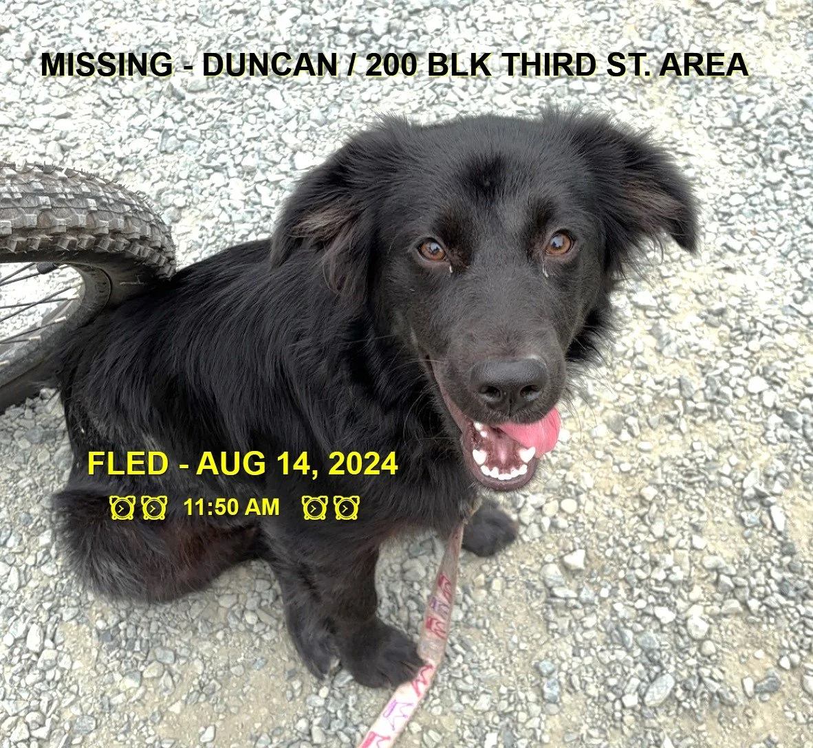 HAPPY ENDINGS - DUNCAN BC. / BEANS / AUG. 14, 2024