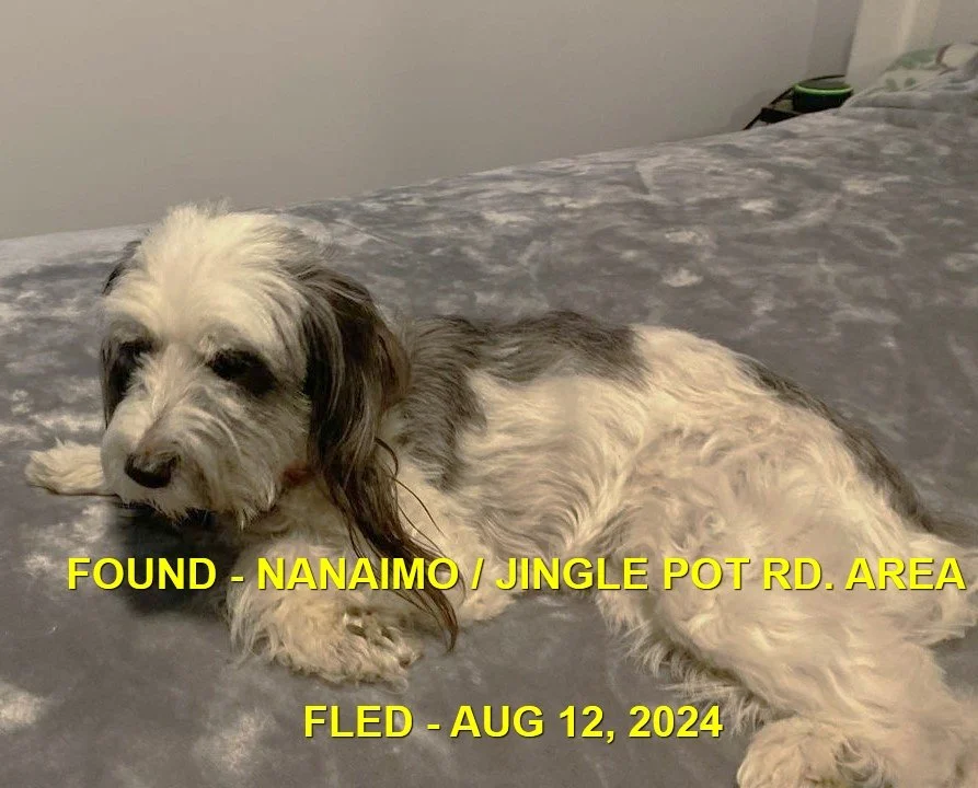 HAPPY ENDINGS - NANAIMO BC. / GYPSY / AUG 12, 2024