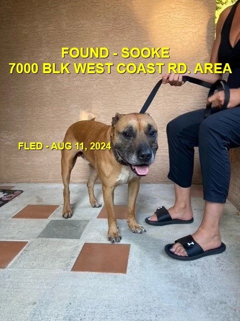 HAPPY ENDINGS - SOOKE BC. / CHASE / AUG 11, 2024