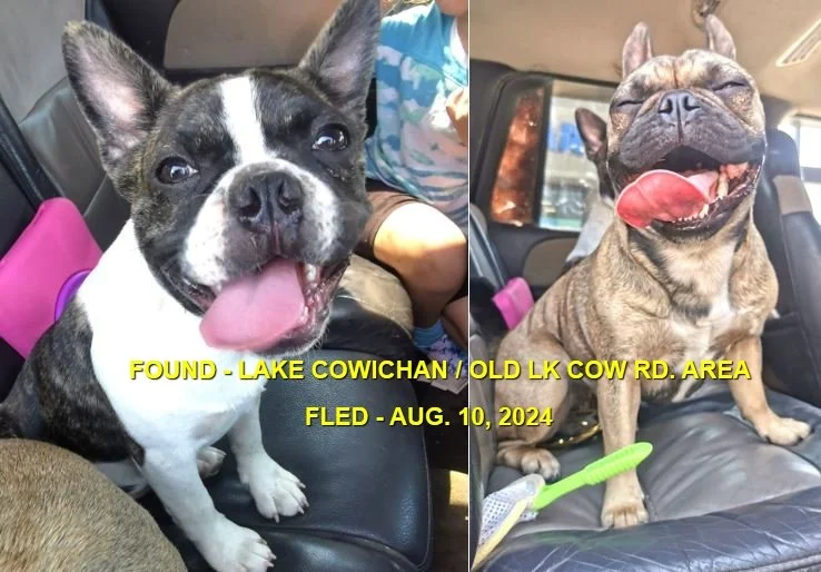 HAPPY ENDINGS - LAKE COWICHAN BC. / AUG. 10, 2024