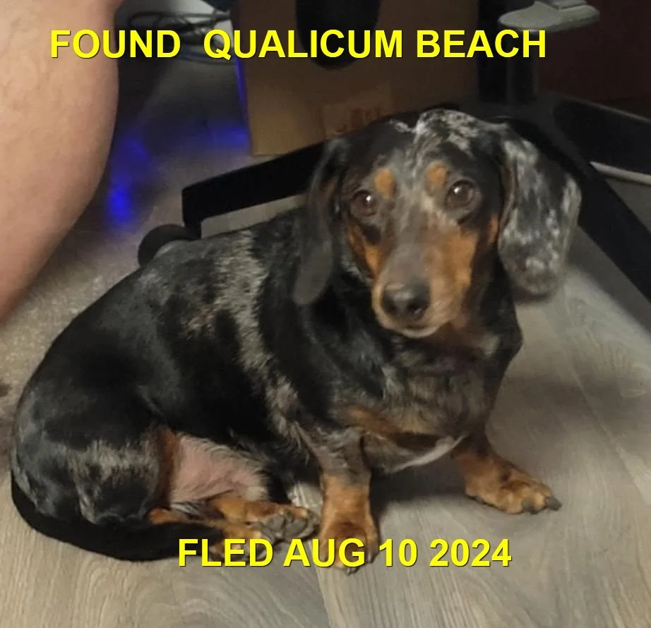 HAPPY ENDINGS - QUALICUM BEACH BC. / AUG 9, 2024