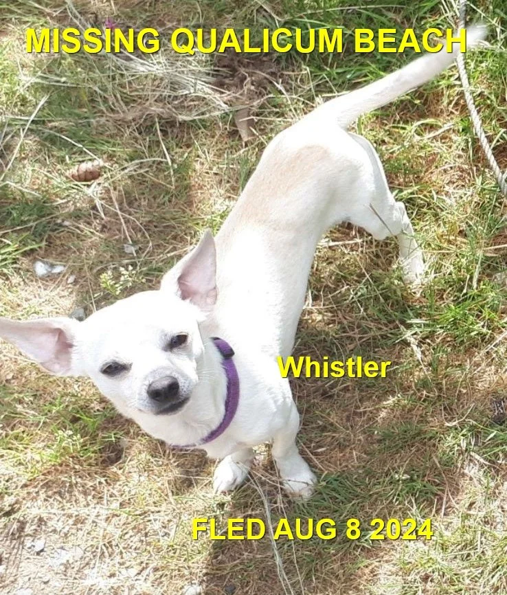 OVER THE RAINBOW BRIDGE - QUALICUM BEACH BC. / WHISTLER / AUG 8, 2024