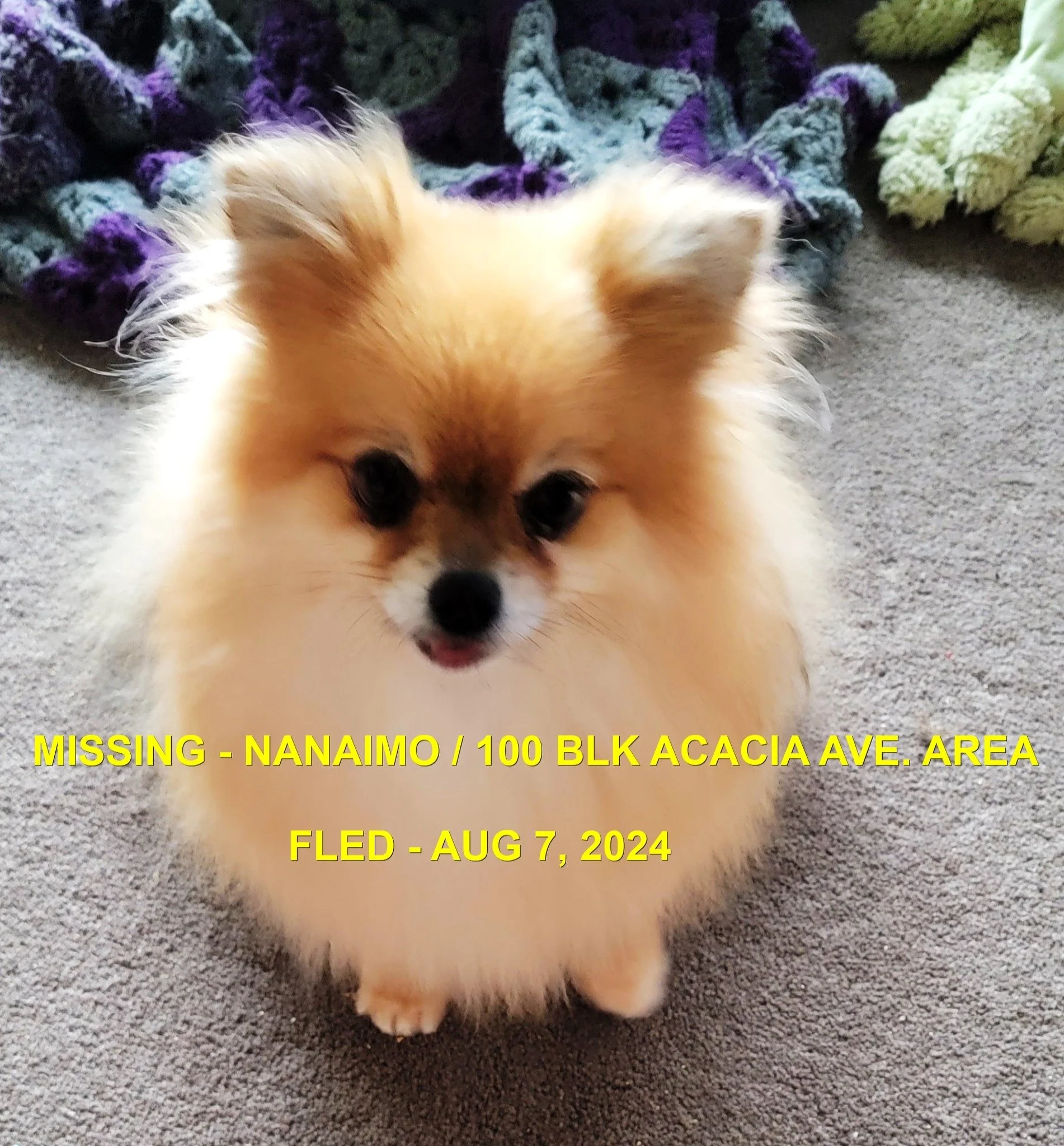 HAPPY ENDINGS - NANAIMO BC. / BELLA / AUG. 7, 2024