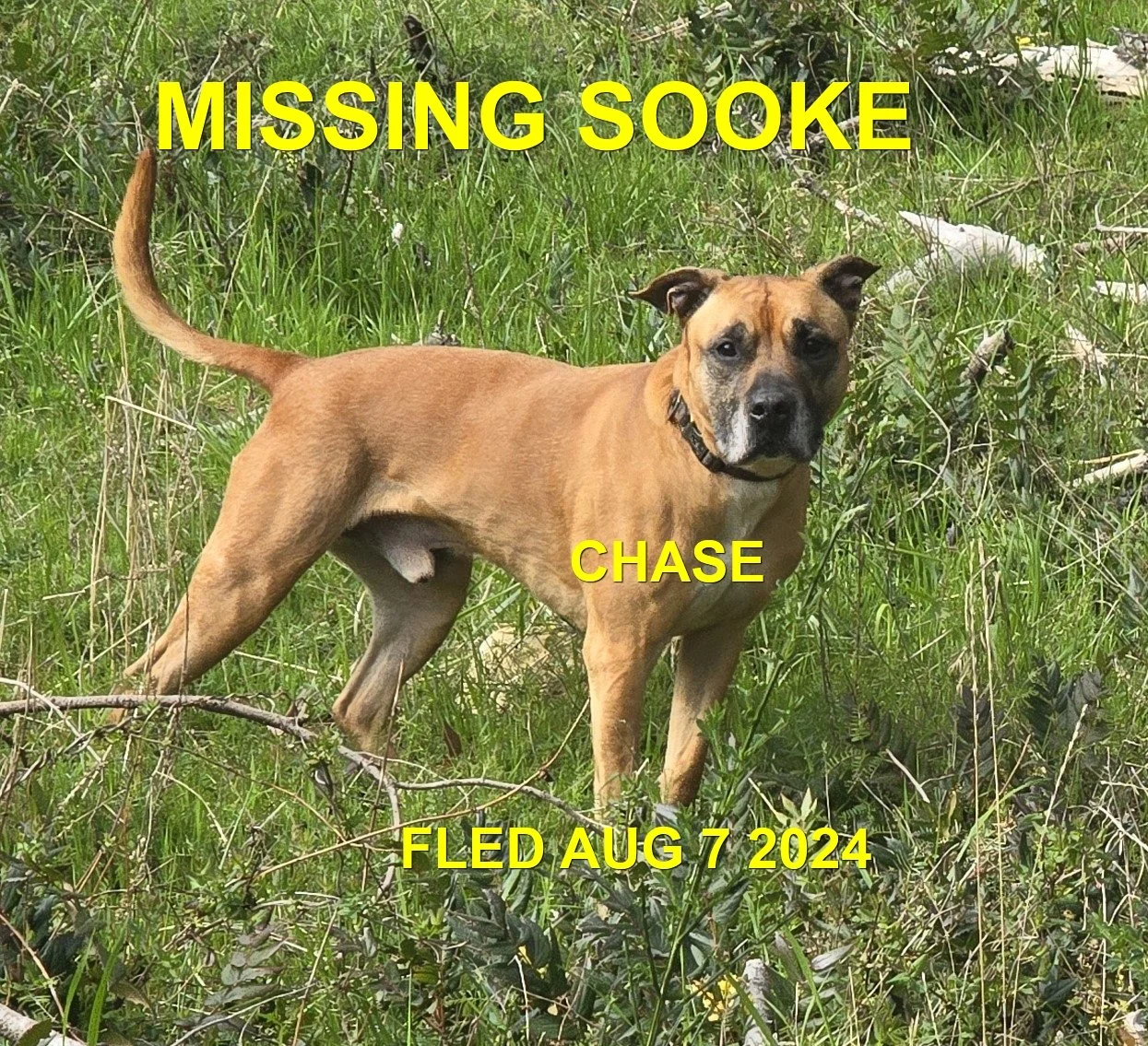 HAPPY ENDINGS - SOOKE BC. / CHASE / AUG. 6, 2024