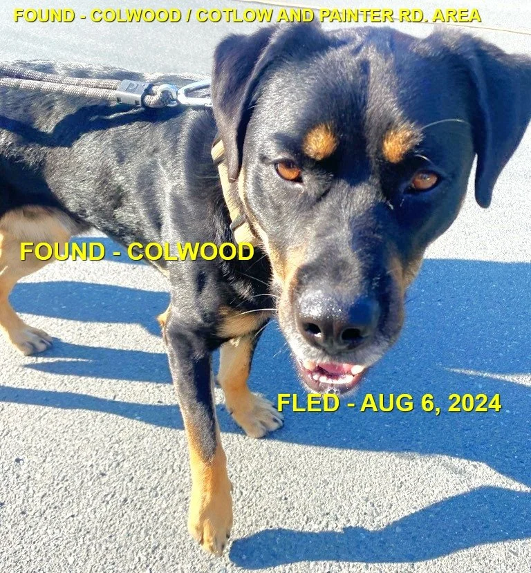 HAPPY ENDINGS - COLWOOD BC. / AUG. 6, 2024