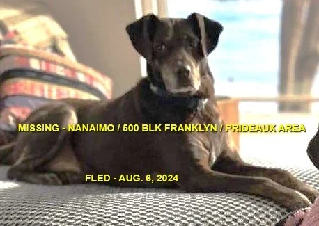 HAPPY ENDINGS - NANAIMO BC. / ASHER / AUG. 6, 2024