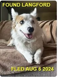 HAPPY ENDINGS - LANGFORD BC. / AUG. 6, 2024