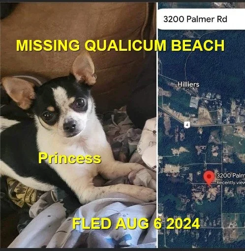 HAPPY ENDINGS - QUALICUM BEACH / PRINCESS / AUG 5, 2024